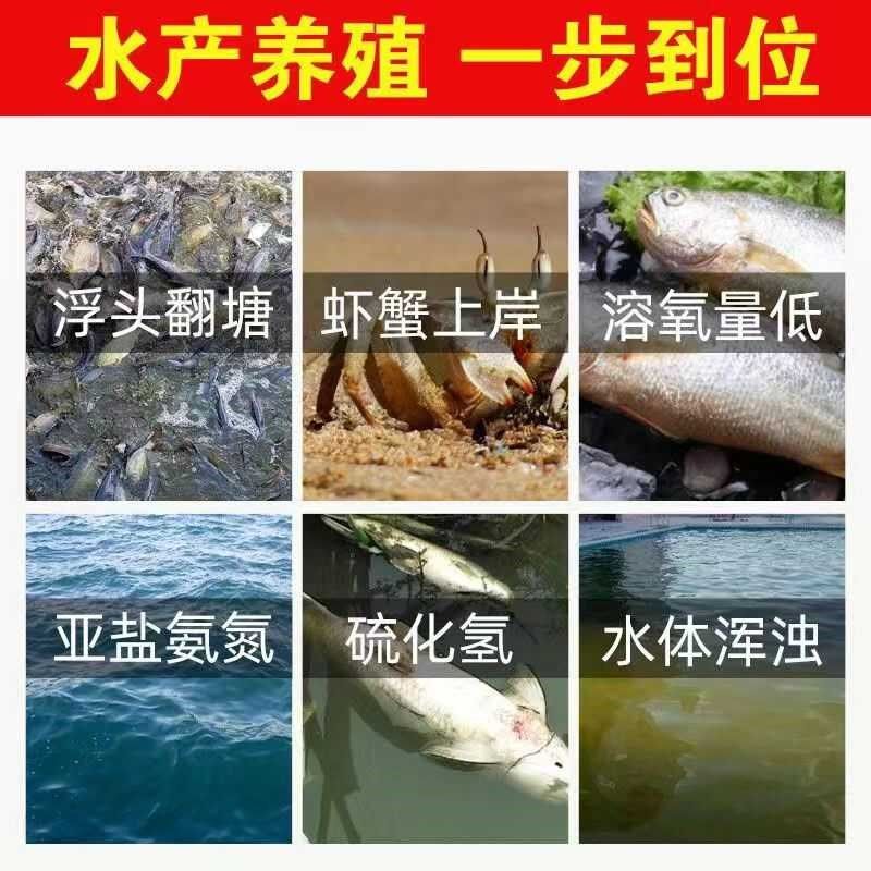 雄牧粒粒氧增氧片水产养殖长效增氧颗粒鱼虾蟹缺氧浮头抵抗应激用,畜牧/养殖物资,水质调节剂,淘宝优惠券,粉丝福利购,淘宝优惠卷