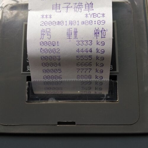 电子吊秤吊称重显示器沃众吊磅磅单打印秤