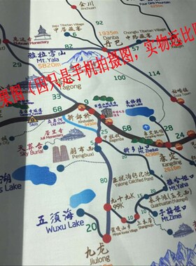 帆布 布料 面料 定制 印花 涤纶B布料 数码印花 定做 打版 全涤