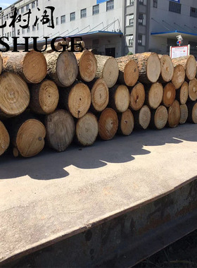 小木桩底座摆件树桩树干原木头杉树摄影拍照园艺木樟W木墩装饰道