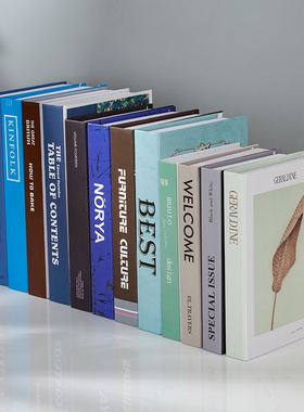 现代英文假书店铺软装仿真书道具书样本书房装饰摆设书盒书壳