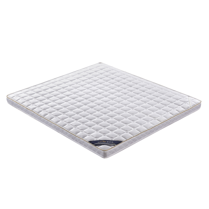 夏季床垫薄款硬垫棕垫天然椰棕租房专用1.2m1.5米儿童护脊椎定制