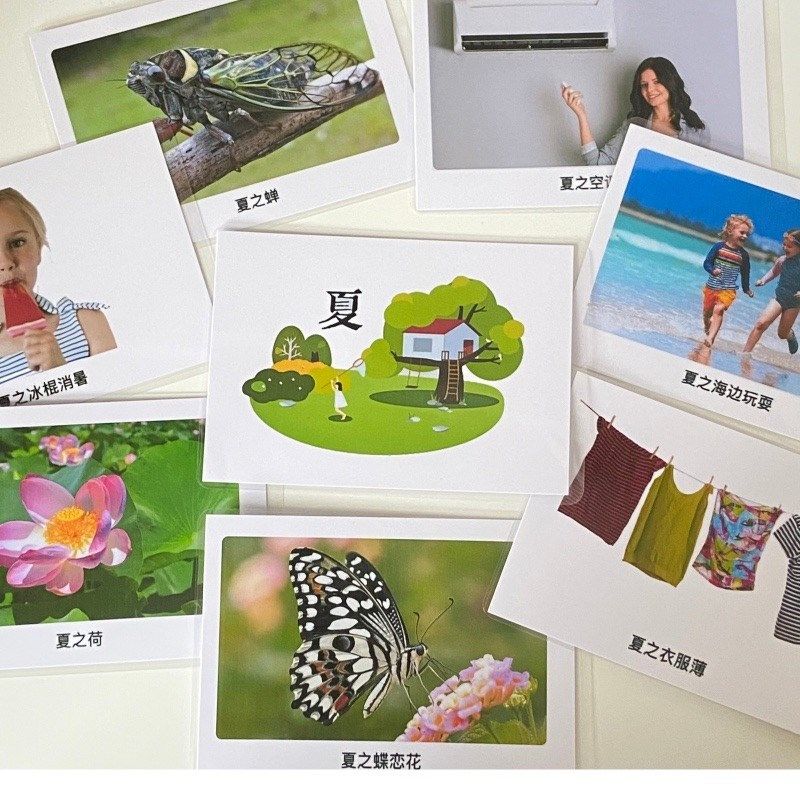 四季季节认知卡片 自闭儿童语言发育迟缓 康复训练教具,玩具/童车/益智/积木/模型,玩具挂图/认知卡,淘宝优惠券,粉丝福利购,淘宝优惠卷
