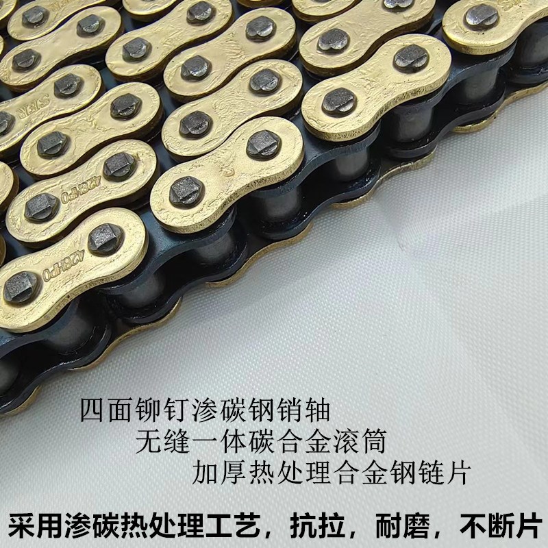 适用钱江小飓风 QJ-D提速提力牙盘链盘链静音油封链条