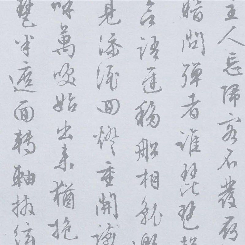 文征明行书琵琶行水写布 毛笔书法水万次练字经济环保