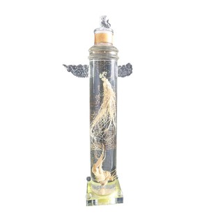 大口泡酒酒瓶斤斤密封加厚大容量华表泡酒玻璃瓶