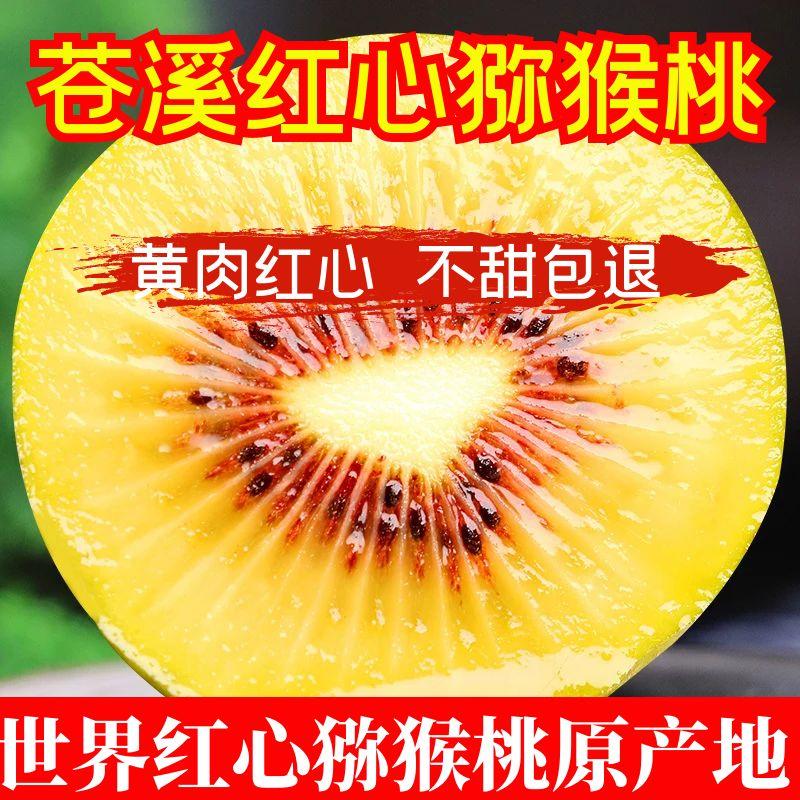 正宗四川广元苍溪红心猕猴桃新鲜水果当季现摘现发