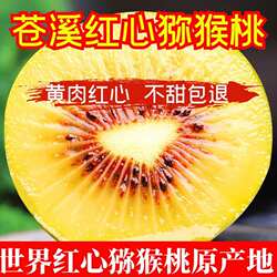 正宗四川广元苍溪红心猕猴桃新鲜水果当季现摘现发