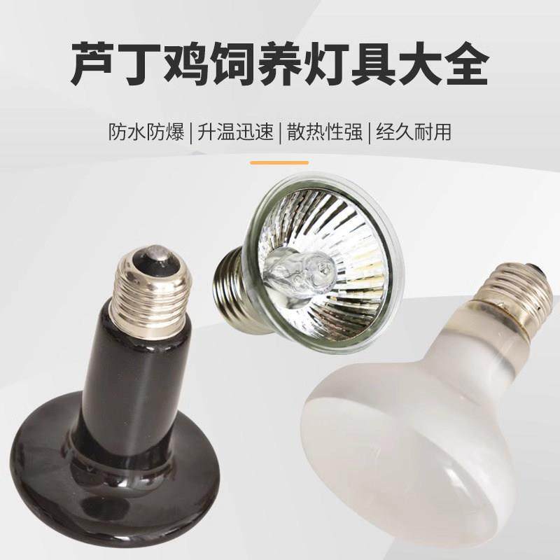 芦丁鸡饲养箱保温灯育雏养殖取暖灯自动温控器雏鸡温控爬宠加热灯,宠物/宠物食品及用品,爬宠缸/箱,淘宝优惠券,粉丝福利购,淘宝优惠卷