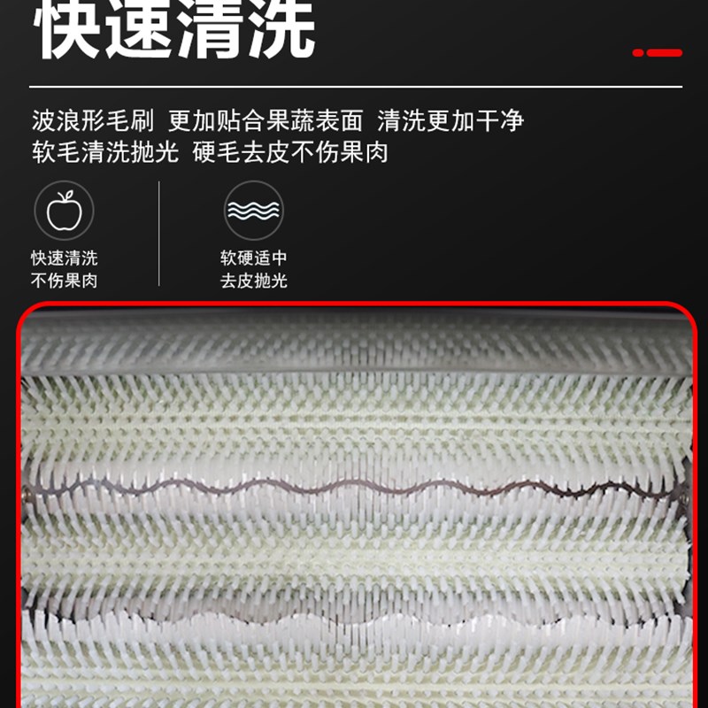 土豆清洗去皮机商用不锈钢全自动洋芋核桃果蔬莲藕红薯去皮清洗机