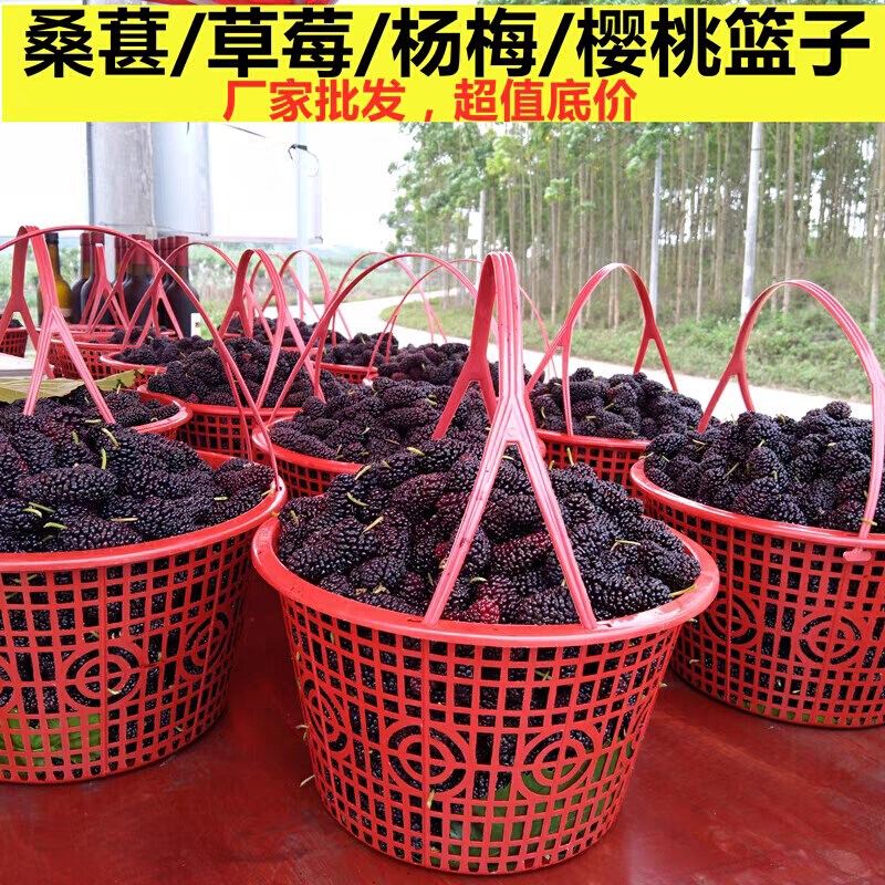 包邮圆形塑料草莓篮水果杨梅篮子带提手桑葚采摘筐蓝莓枇杷鸡蛋篮