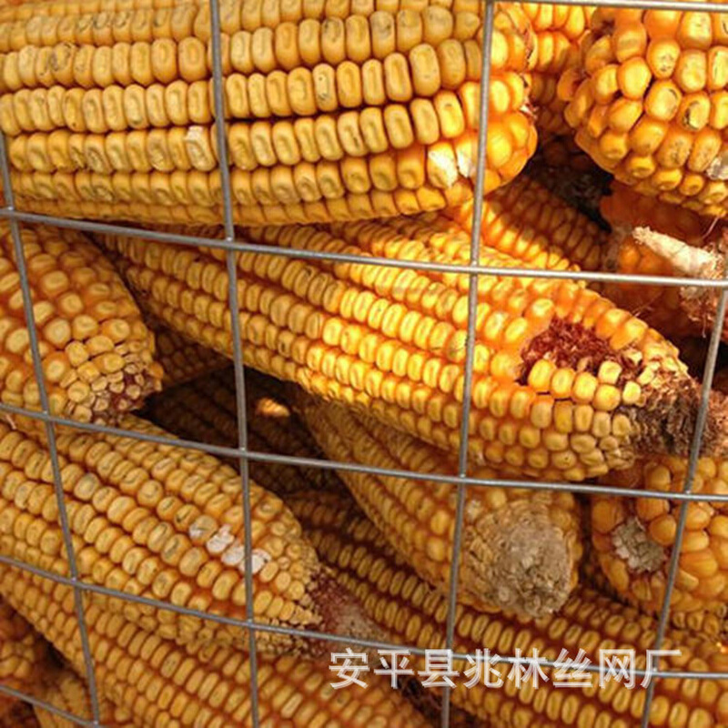 河北厂家现货销售圈玉米网6*9网孔粮仓网镀锌铁丝网价格优惠