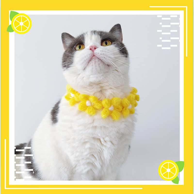 宠物项圈猫咪围脖狗狗饰品针织可爱仙女花朵可调节围脖项圈,宠物/宠物食品及用品,项圈/肩带,淘宝优惠券,粉丝福利购,淘宝优惠卷