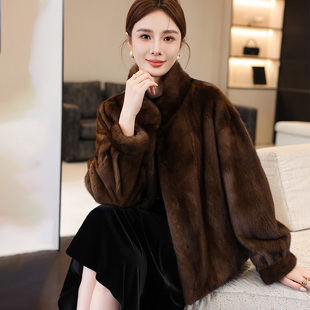 海宁2025新款轻奢天鹅绒水貂皮草外套女短款立领整貂裘皮大衣年轻