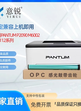 适用PANTUM奔图P2090硒鼓鼓芯M6002粉盒鼓芯PD-112碳粉盒鼓芯PD112H打印机墨盒NT-C0112CS墨粉盒感光鼓鼓芯