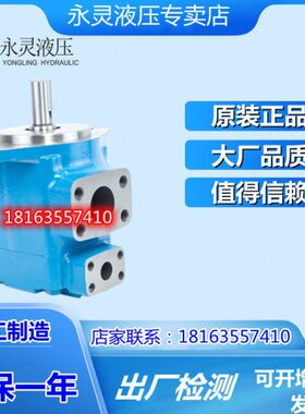量20VVVVY定V4520/C单 永灵/2535叶片泵/油泵联L液压叶片泵声低噪