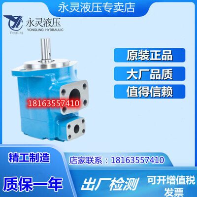量20VVVVY定V4520/C单 永灵/2535叶片泵/油泵联L液压叶片泵声低噪