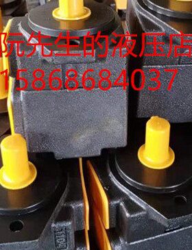 -6R36F叶片泵R居产仙V2P