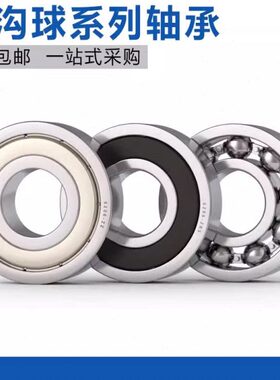 -620820 深沟球轴承 R6 286ZB27Z  G66121021 ZZZR 6720212069622