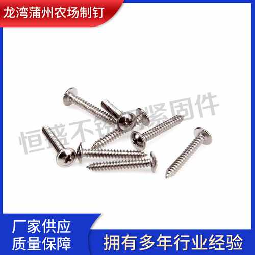 大扁头自攻 十字大扁头自攻螺钉 不锈钢圆头自攻钉 带垫自攻钉