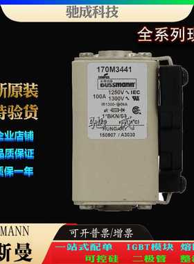 巴斯曼170M3446 170M3447 170M3448 大量现货 销售 伊顿熔断器