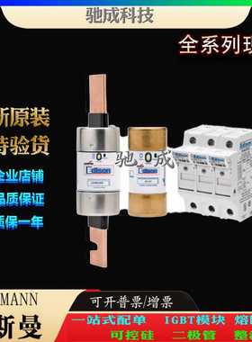 巴斯曼170M5885 170M5886 170M5887 销售供应厂价销售 全新熔断器