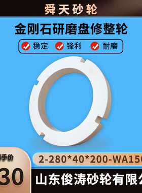 舜天牌 金刚石研磨盘修整轮 2-280*40*200-WA150G 白刚玉材质