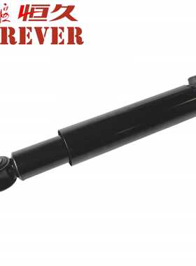 东风天龙减震器/减振器总成2921010-H12B0