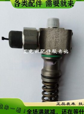南岳电控衡阳电控单体泵国三农机大柴新柴喷油泵总成柱塞109TEUP