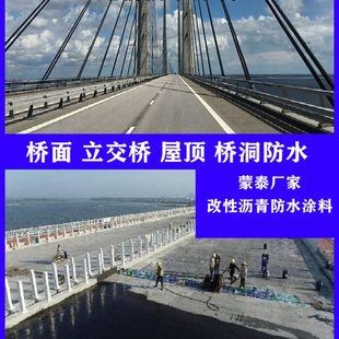 FYT 100二阶反应路桥防水堵漏屋面沥青防水材料 1桥面防水涂料AMP