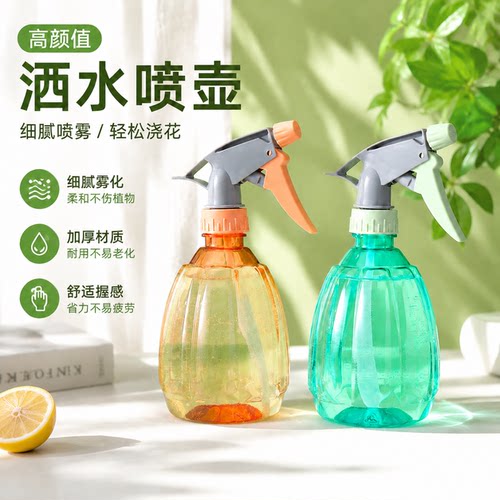 喷壶浇花浇水喷雾器家用园艺养花