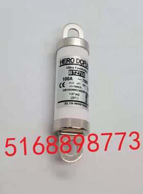 BTZ700-100A/700VDC新能源电动汽车熔断器保险丝配件