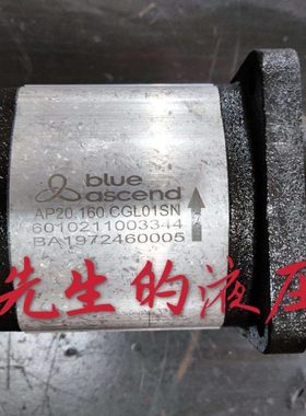 土耳其BLUE ASCEND齿轮泵AP20.160.CGL01SN AP20.115.CGL01SN