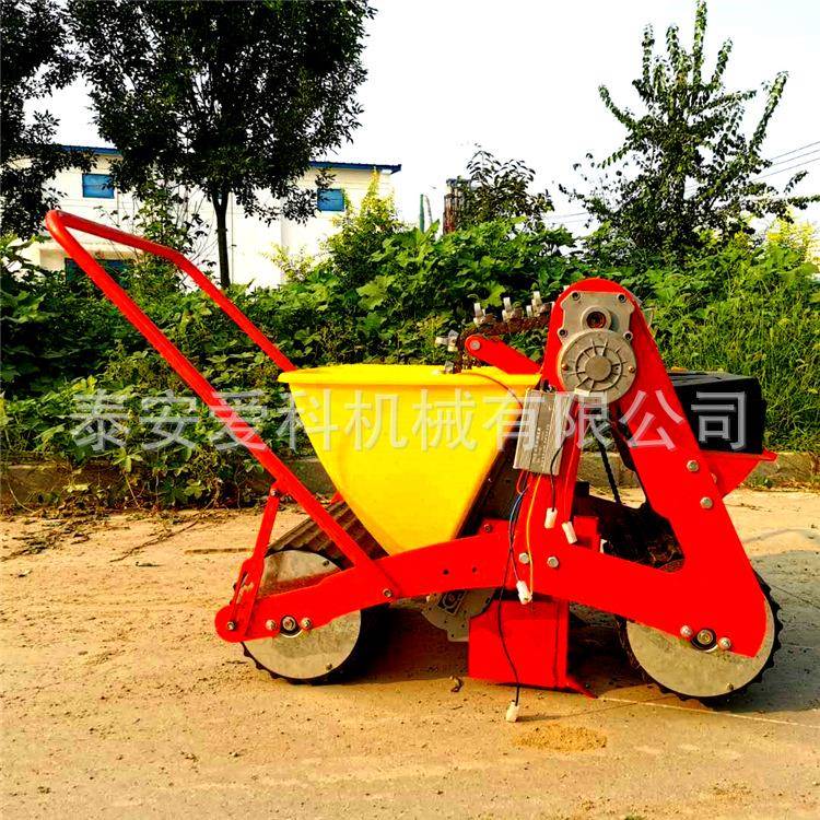独蒜种植机农用大蒜播种机大蒜点播机栽蒜机手推电动种蒜机