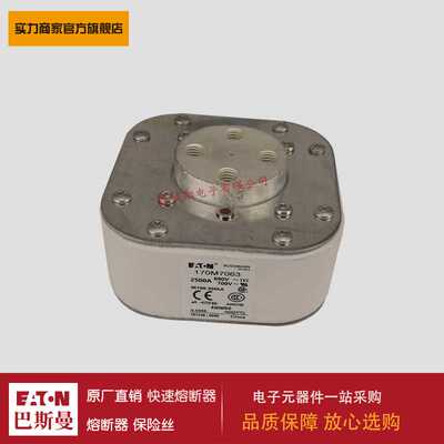 熔断器170M7063 170M7064 170M7065 170M7066 170M7078 170M7079