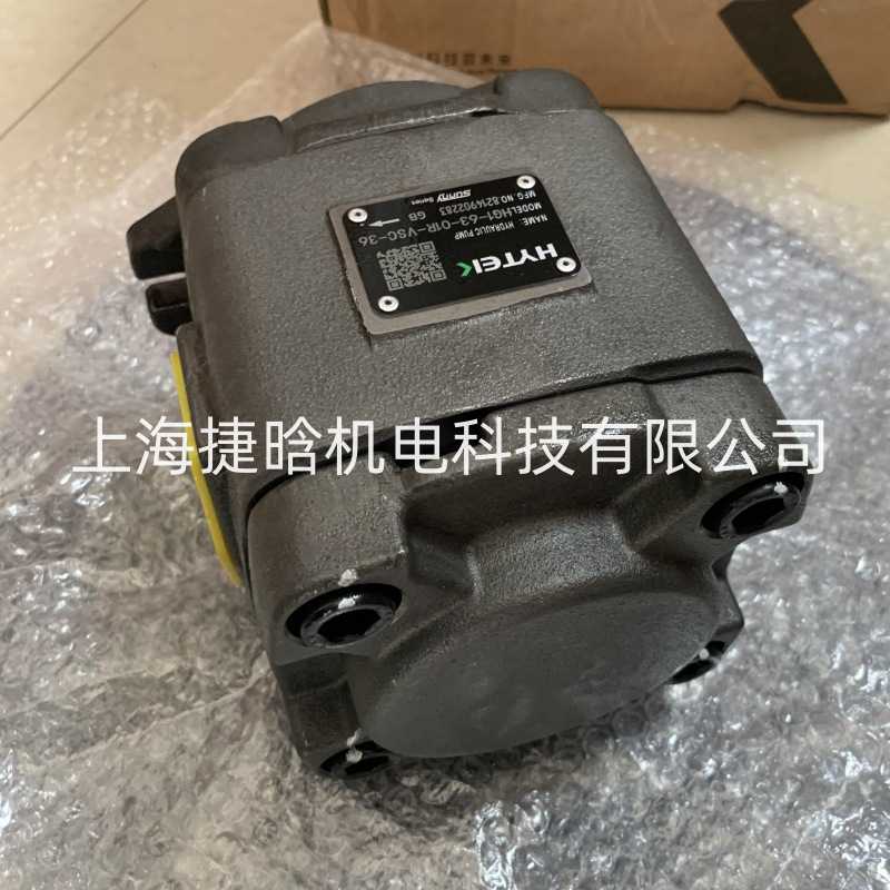 HYTEK SUNNY齿轮泵 HG2-125-01R-VSC-36 HG2-160-01R-VSC-36