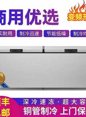 节能大容量商用大冰柜卧式家庭用节能冷柜冷冻柜冷藏柜保鲜速冻柜