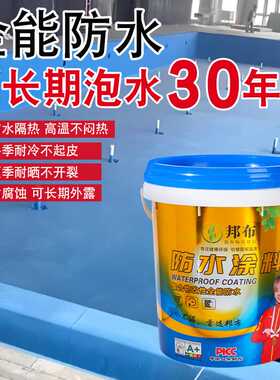 JS防水涂料聚合物水泥基厨房卫生间防潮防渗透防水补漏胶防水材料