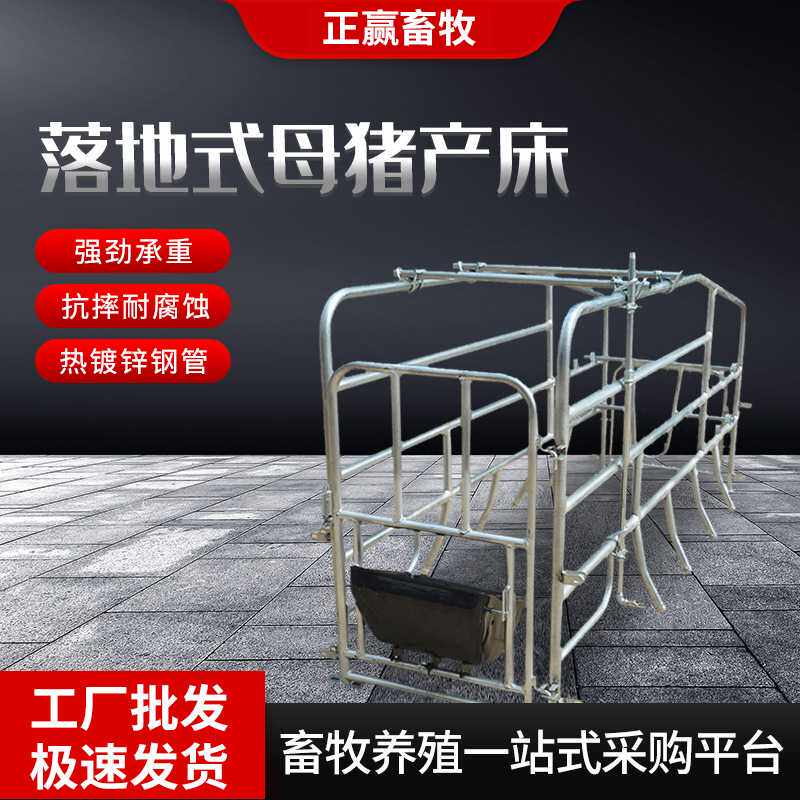 厂家 落地式母猪产床产保两用落地式单体猪用设备母猪分娩床