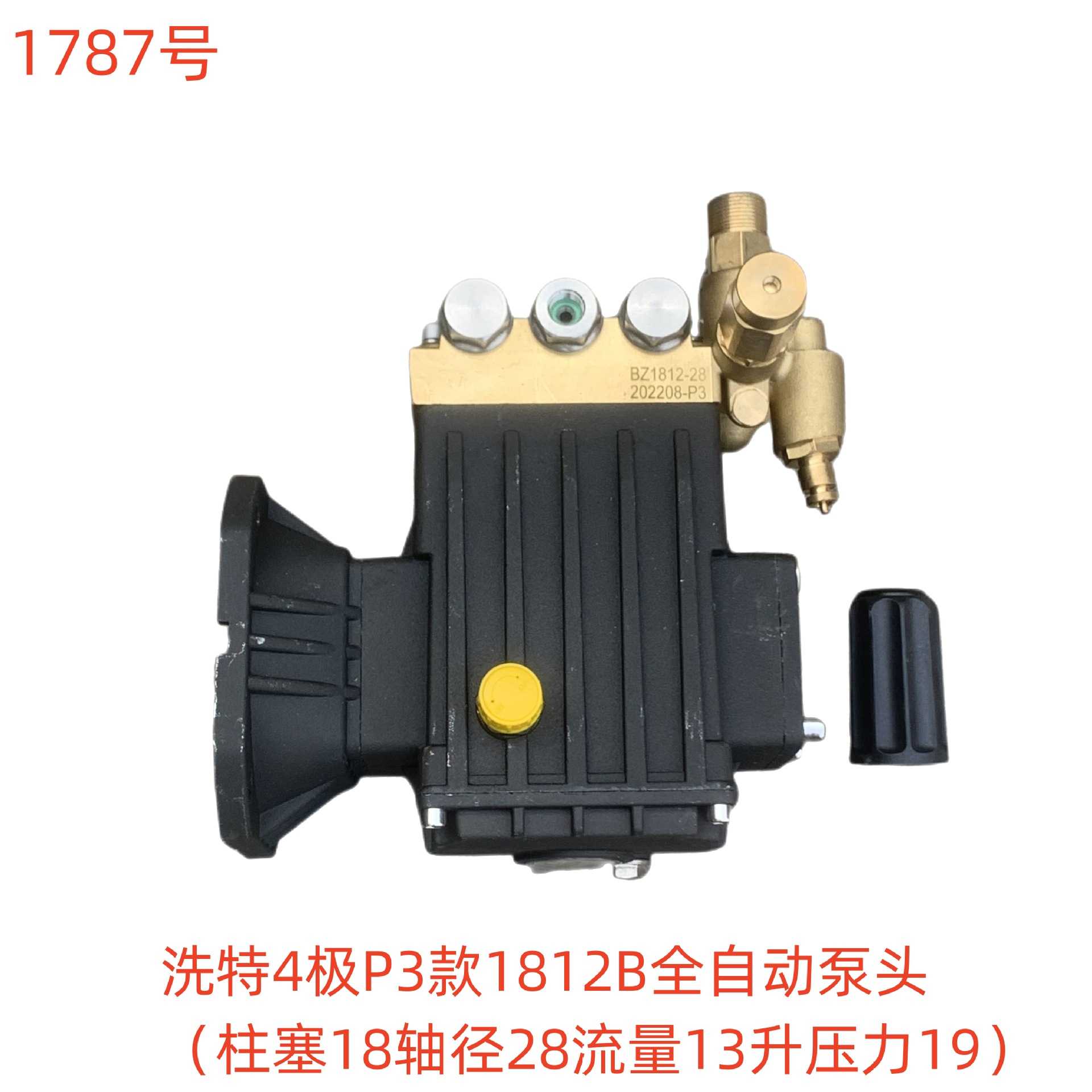洗特4极P3款1812B全自动泵头（柱塞18轴径28流量13升压力19）