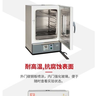 310液晶屏电热鼓风干燥箱 310 电热鼓风干燥箱WGL 30L泰斯特310