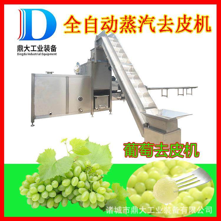 葡萄蒸汽去皮机罐头加工剥皮机速冻葡萄加工设备工业,清洗/食品/商业设备,其他食品加工设备,淘宝优惠券,粉丝福利购,淘宝优惠卷