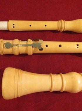 畅想乐器 双簧管乐器 专业音乐会/ 黄杨 415HZ oboe