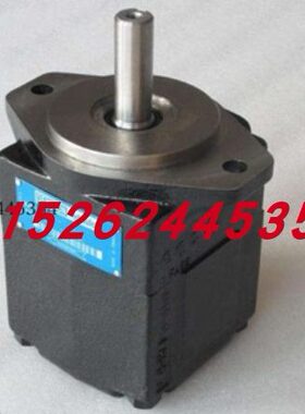 T6C-014/017/020-1L00/1L01/1L02/1L03-A1/B1 DENISON 丹尼逊