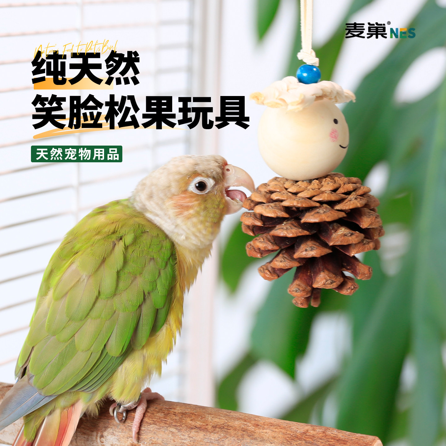 鹦鹉啃咬小鸟玩具解闷自嗨神器磨嘴磨牙松果虎皮牡丹专用笼内装饰,宠物/宠物食品及用品,鸟玩具,淘宝优惠券,粉丝福利购,淘宝优惠卷