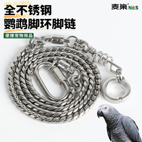 316不锈钢大型鹦鹉蛇骨链不伤脚