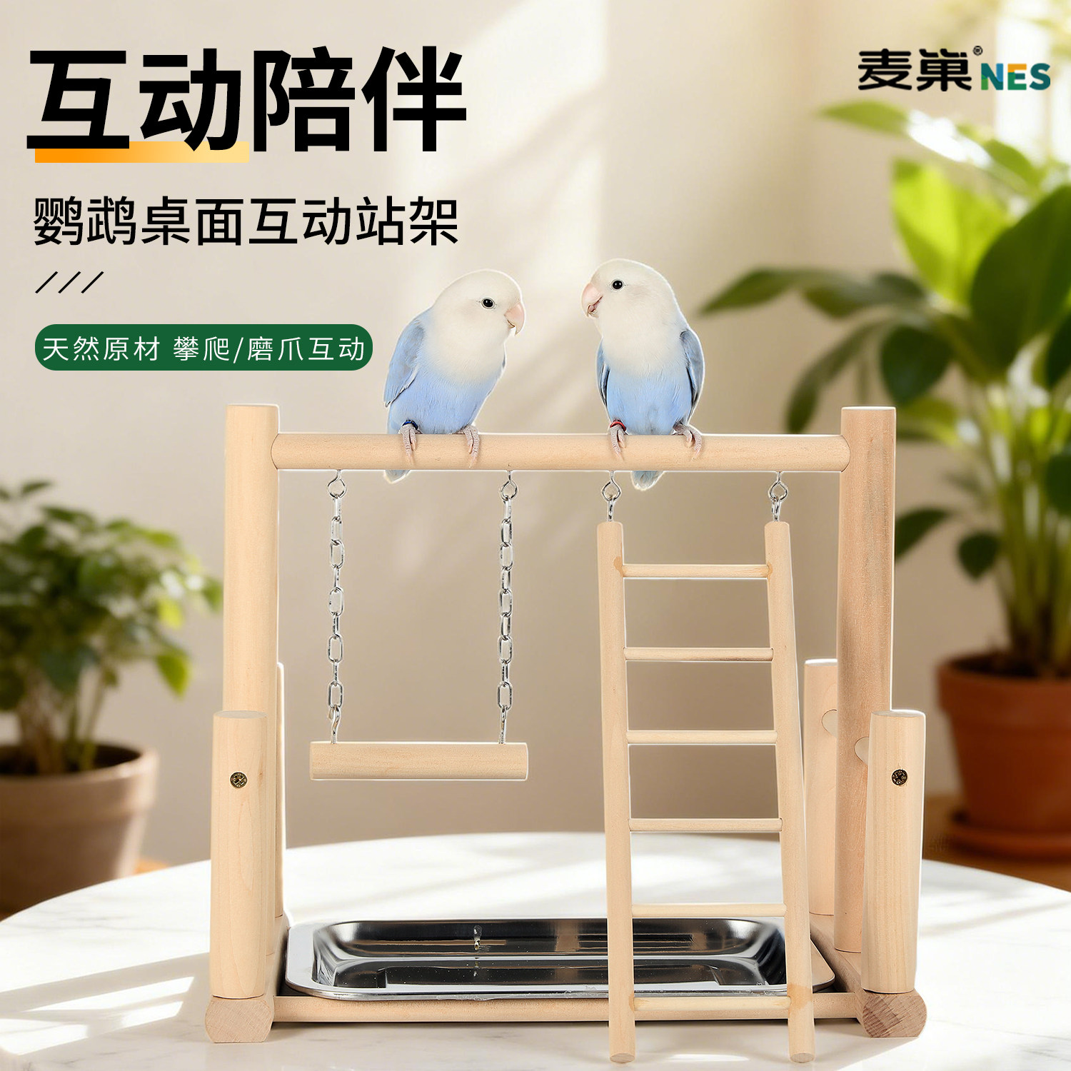 鸟架鹦鹉站架桌面定点排便训鸟站台牡丹虎皮玄凤专用站杆拉屎神器,宠物/宠物食品及用品,鸟玩具,淘宝优惠券,粉丝福利购,淘宝优惠卷