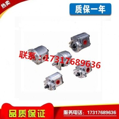 台湾齿轮泵P101/P102/P104/P105/P106/P107/P109/P127/P135RP01GT