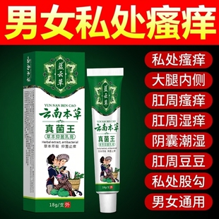 云南本草真菌王男女大腿内侧外阴肛周屁屁私处闷痒潮湿异味抑菌膏