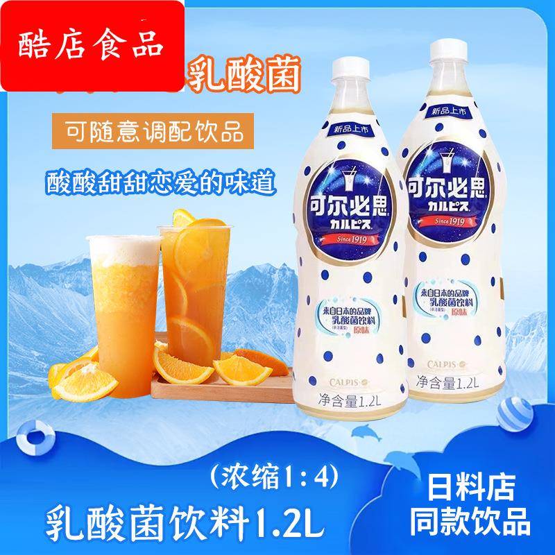 可尔必思浓缩液乳酸菌饮料益菌多1.2L瓶装奶茶店商用整箱包邮
